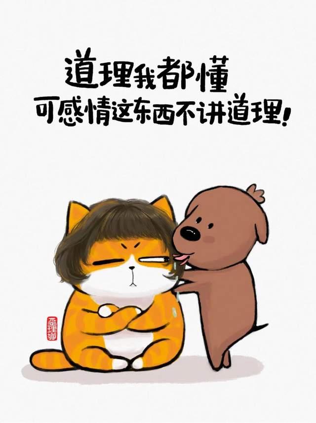 几个人生歪理,歪的很有道理!