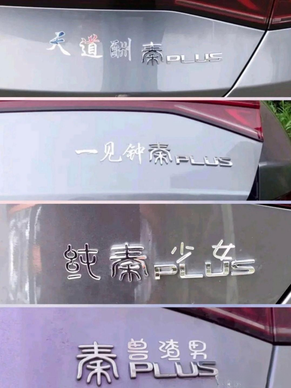 笑不活了,比亚迪车主都是段子手,这车贴也太搞笑了!