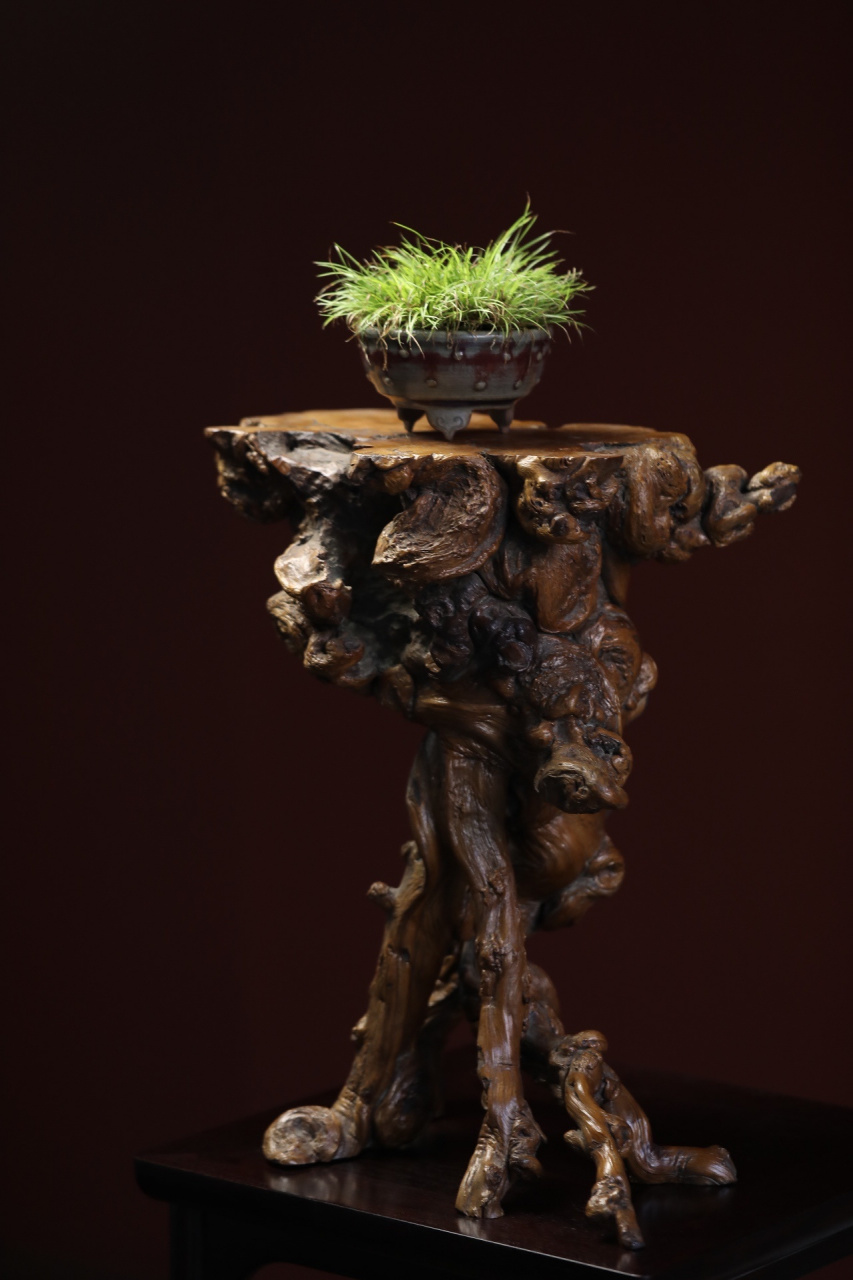 降龙木 | 随形根几 天然随形,突兀端挺, 仿古润色,古雅之韵.  长34.