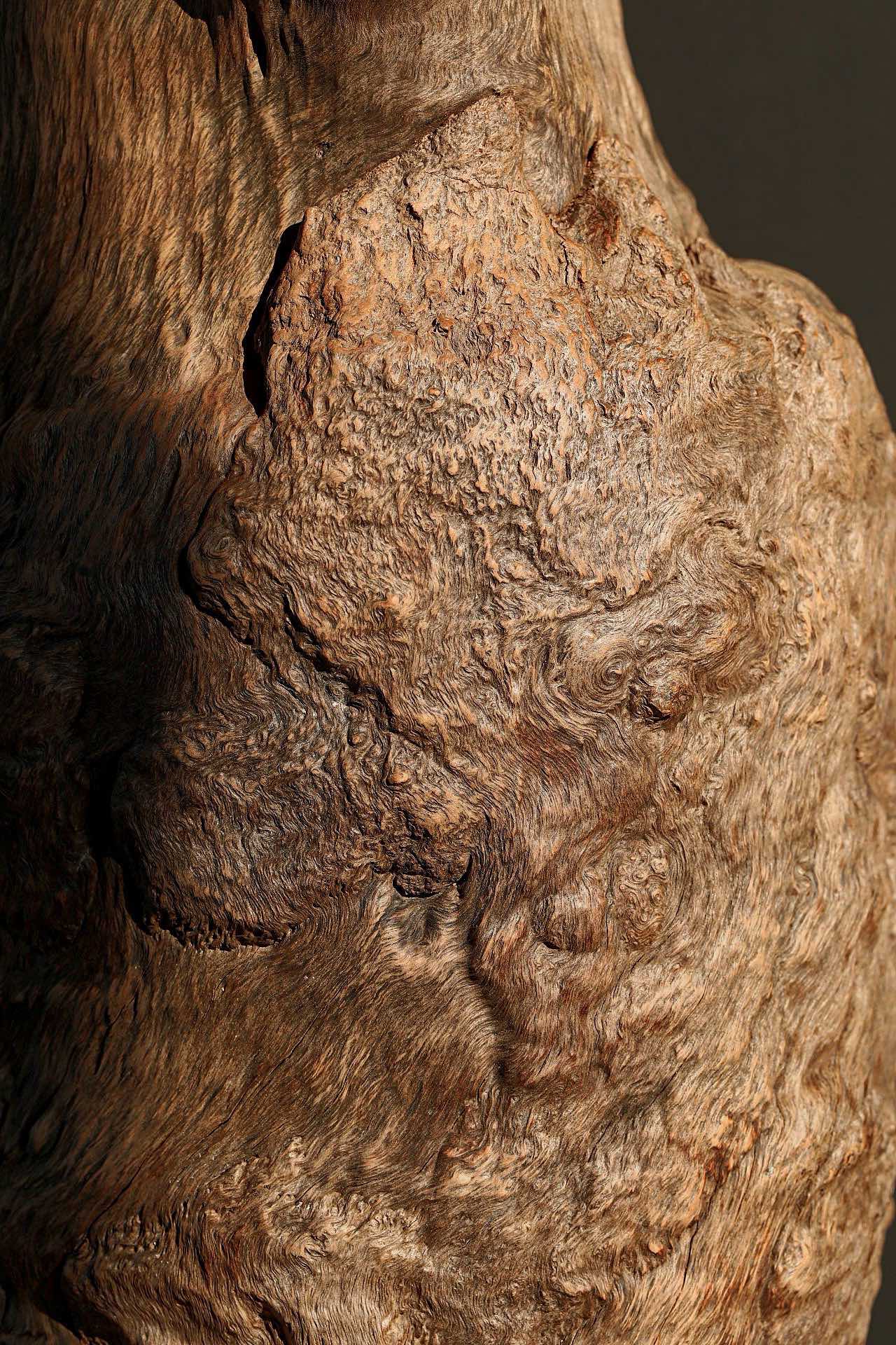 荔枝木|大花瓶  整料瘤疤纹,纹理自然流畅,不拘常形.