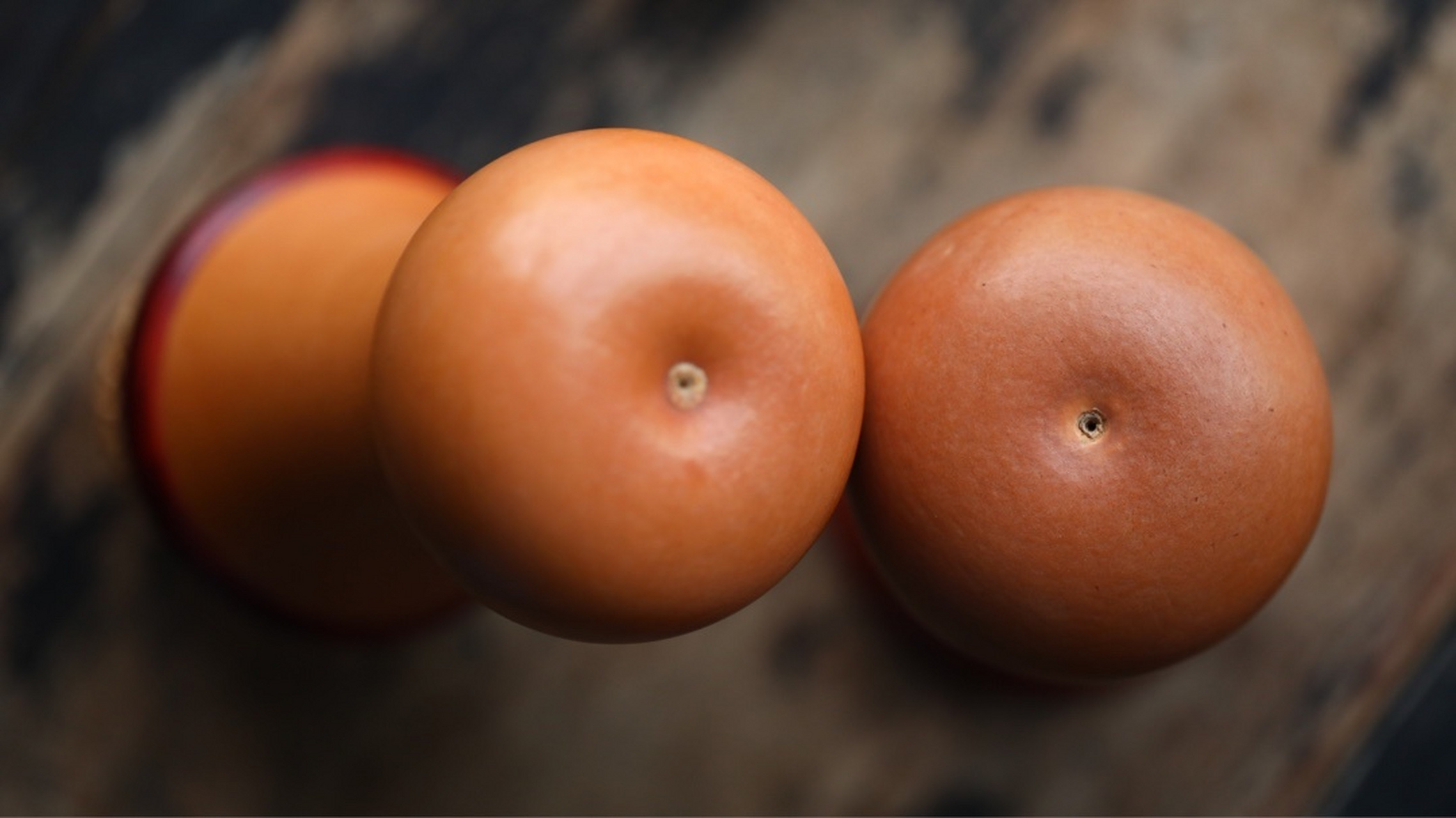 匏器 | 蝈蝈葫芦 天然葫芦,包紫檀口,黄杨木蒙芯,精工细作,玩物得趣.