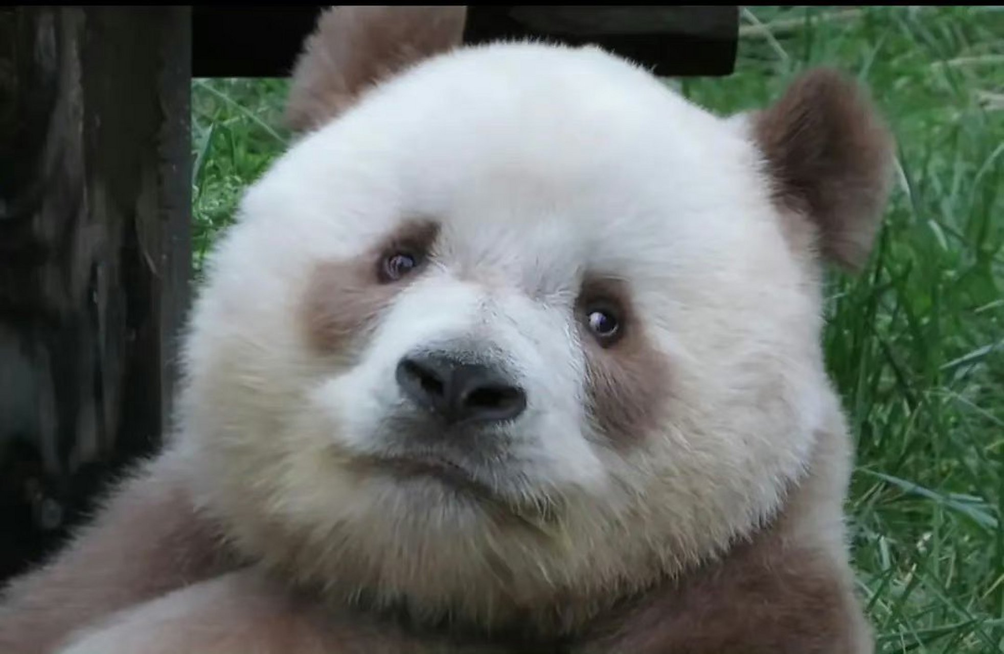 全年无休的七仔终于可以休息了 67