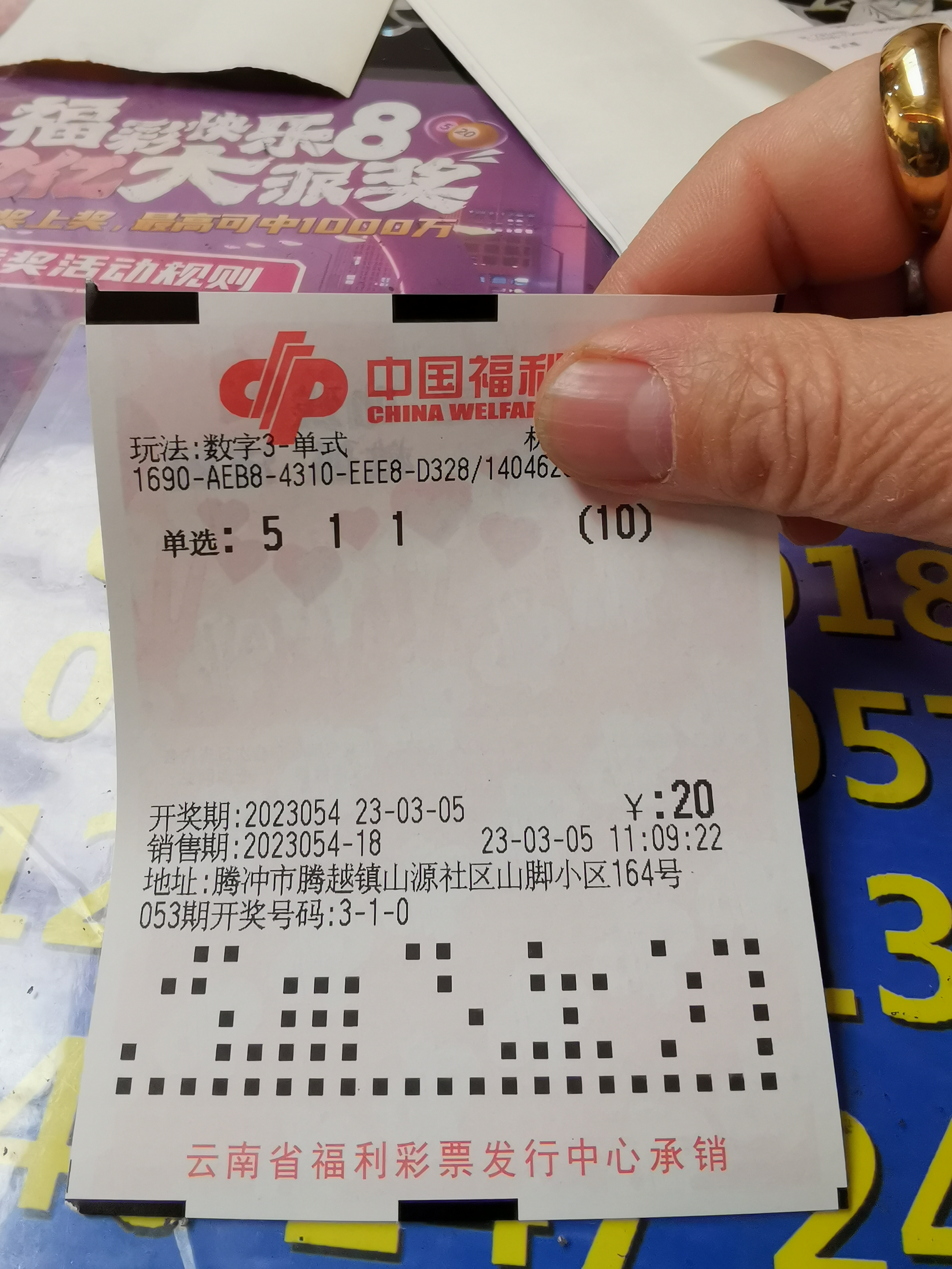 3d第054期,单挑一注511.