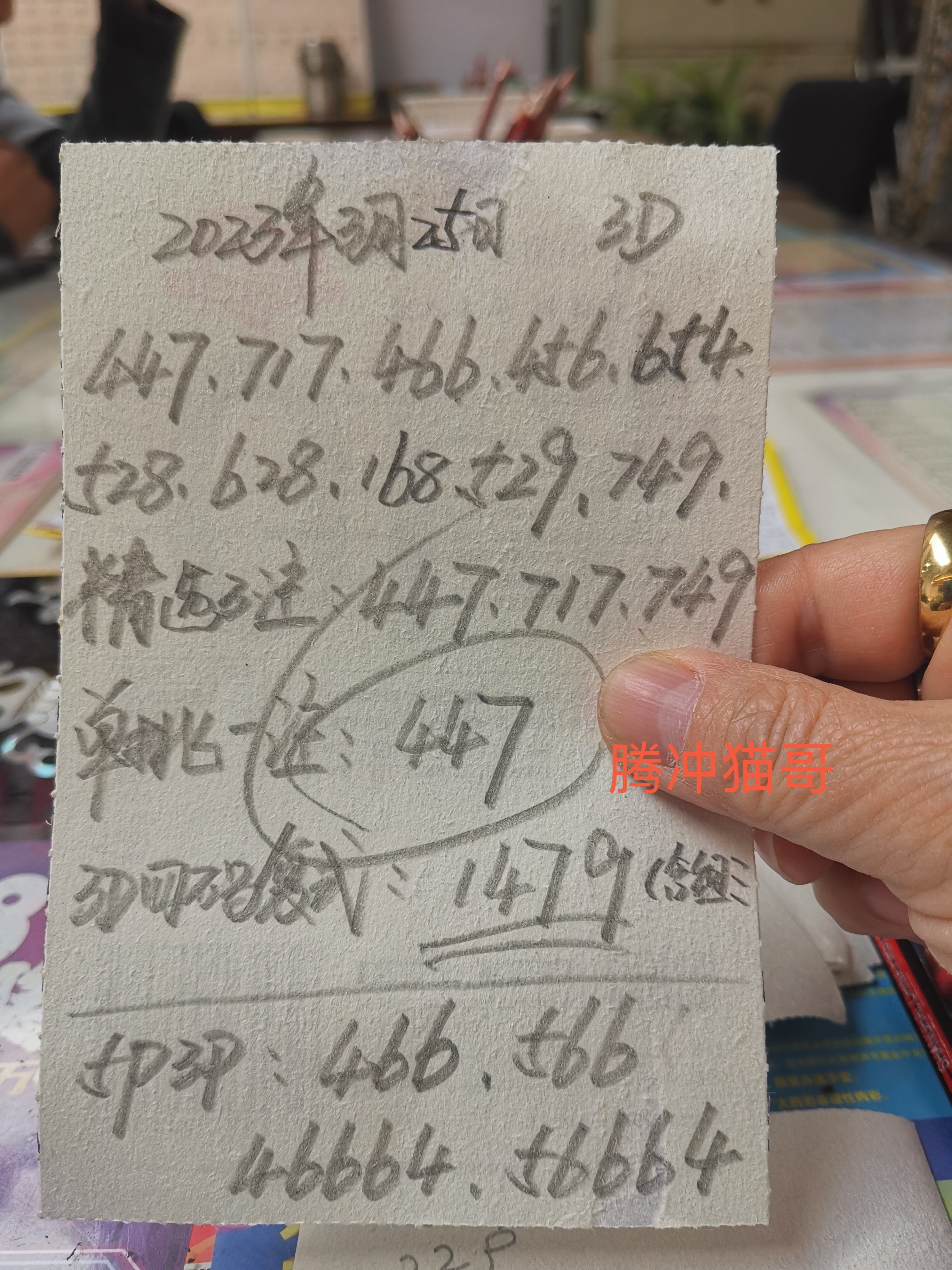 单挑一注447.排骨466,566,46664,56664.猫非如来,打眼非怪.