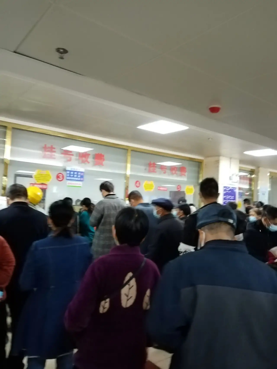 安贞医院医院排队代办挂号检查前准备提醒细致，一次顺利通过的简单介绍