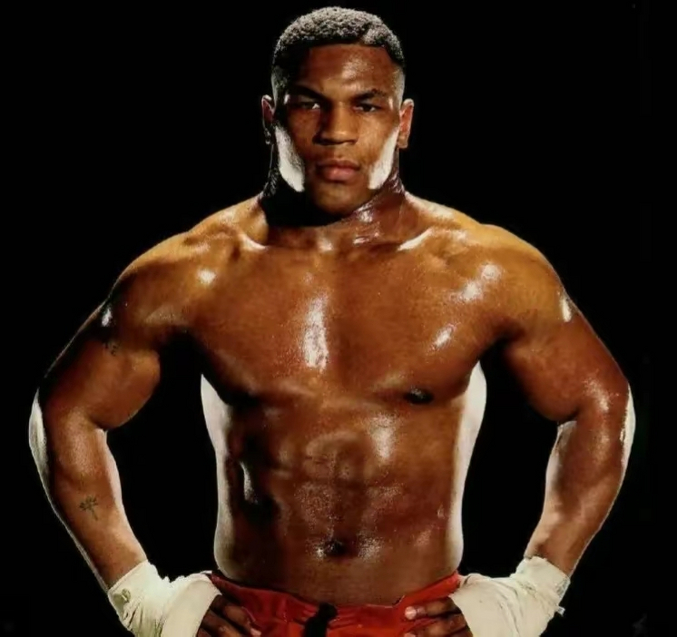 泰森是真正的拳王,在巅峰时期,上述拳王都不是他的对手,但是他的职业