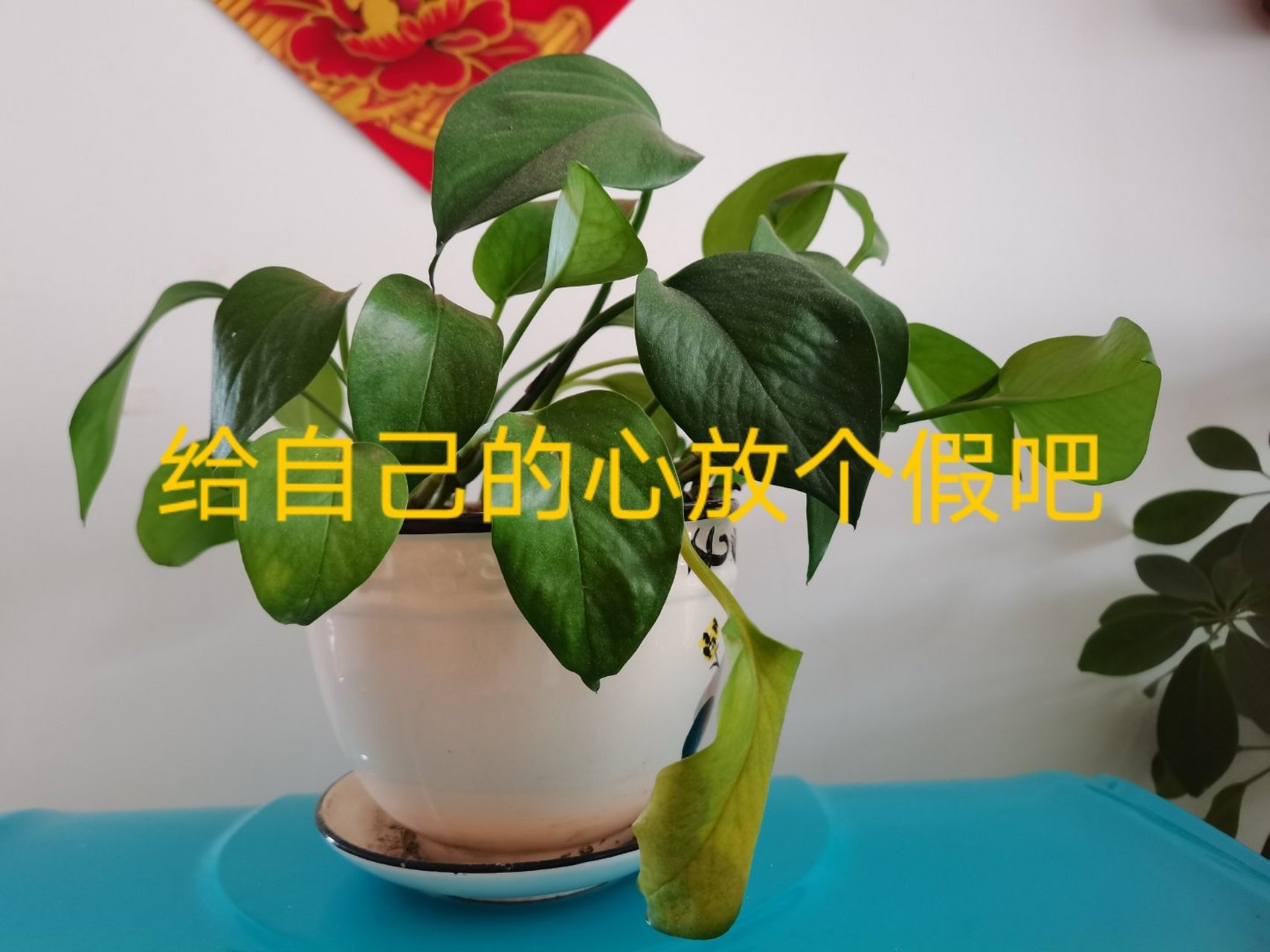 给自己的心放个假吧       给自己的心放个假吧!