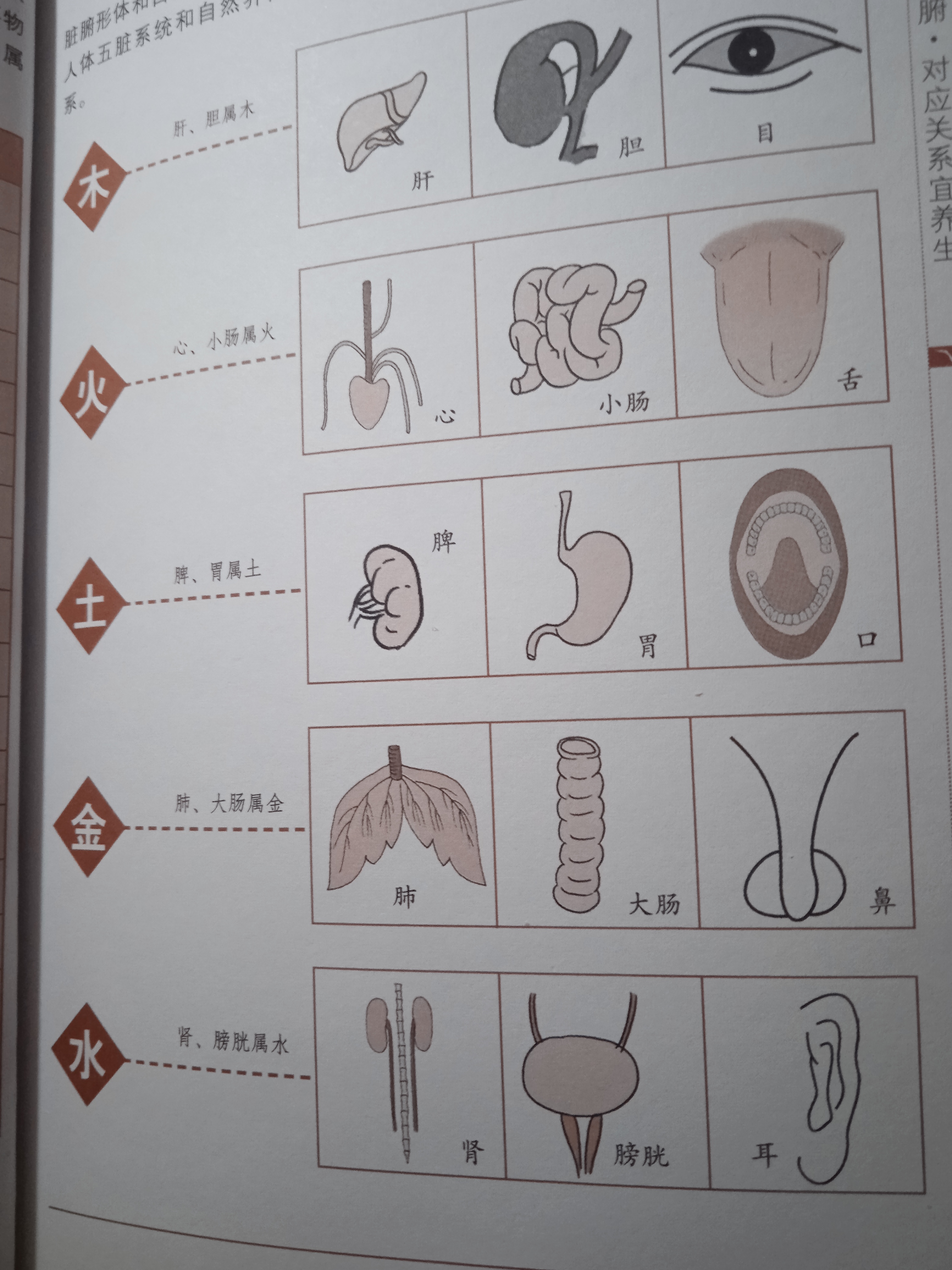 民间壮阳土单方(民间壮阳土单方有那些草药) 民间壮阳土单方(民间壮阳土单方有那些草药)