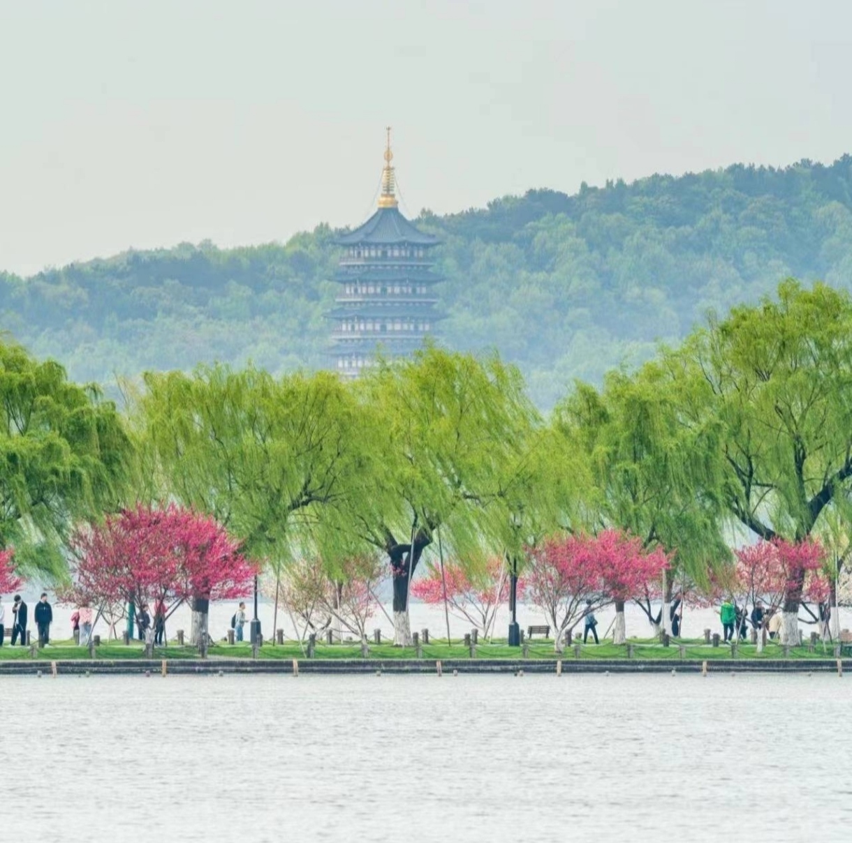 白堤横亘湖上,把西湖