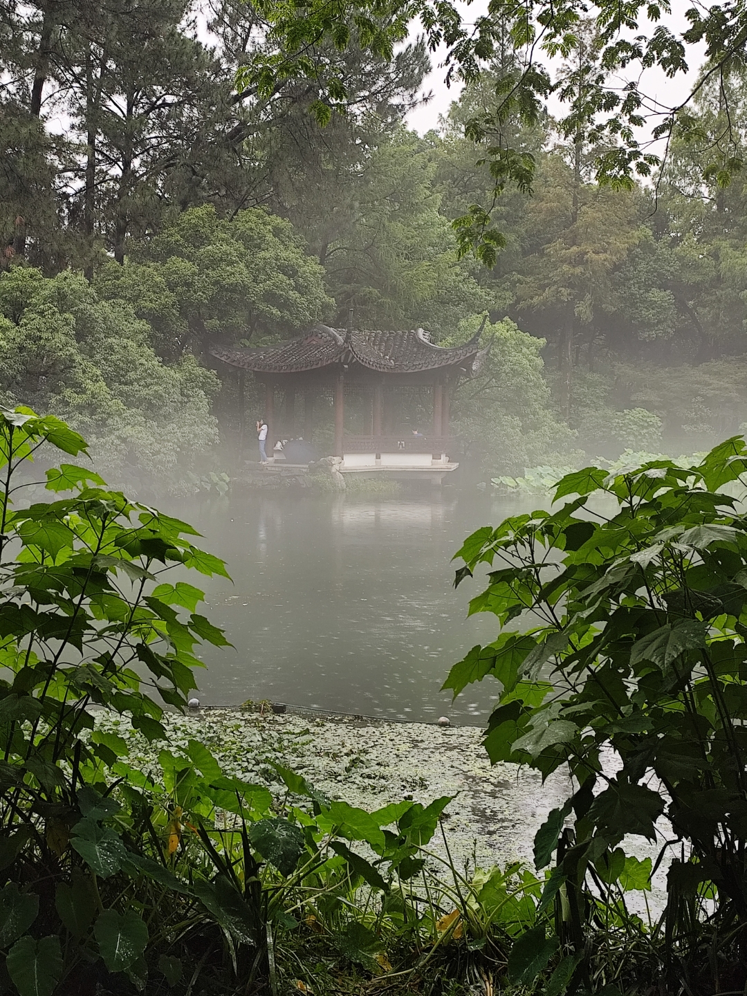 烟雨蒙蒙风景图片图片