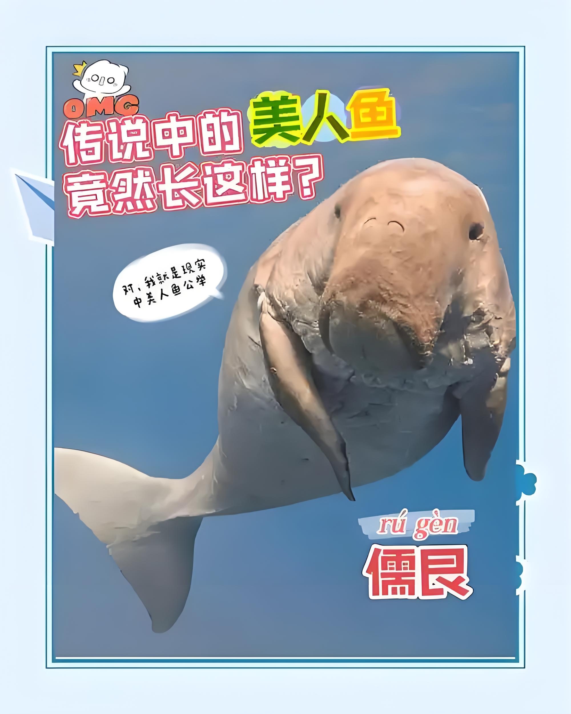 2025年7月8日中国南海发现"美人鱼"