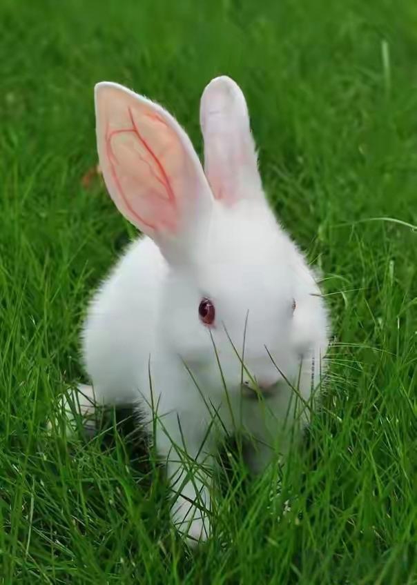 虽说你在家勤勤恳恳,踏踏实实,不张扬,在外说话和气,尊重街坊邻居