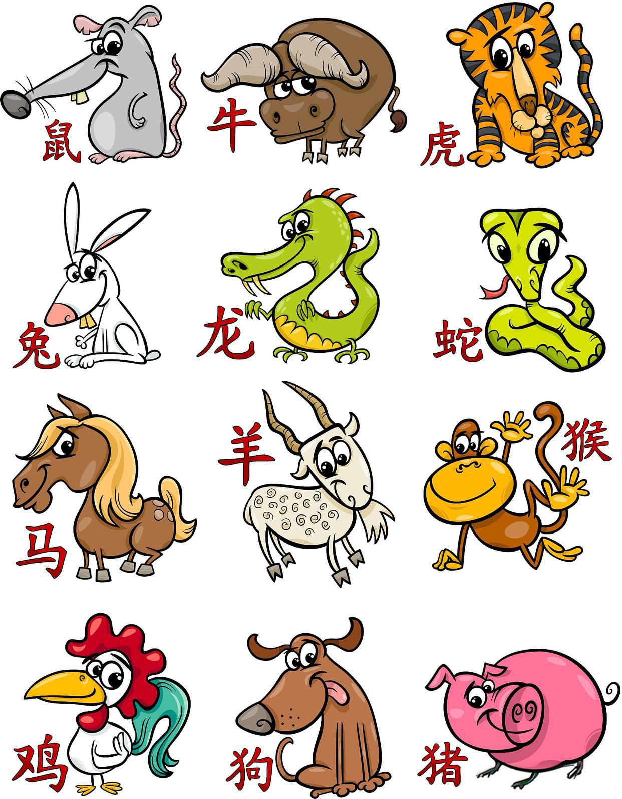 冰河时代生肖运势(2026年生肖运势排名)