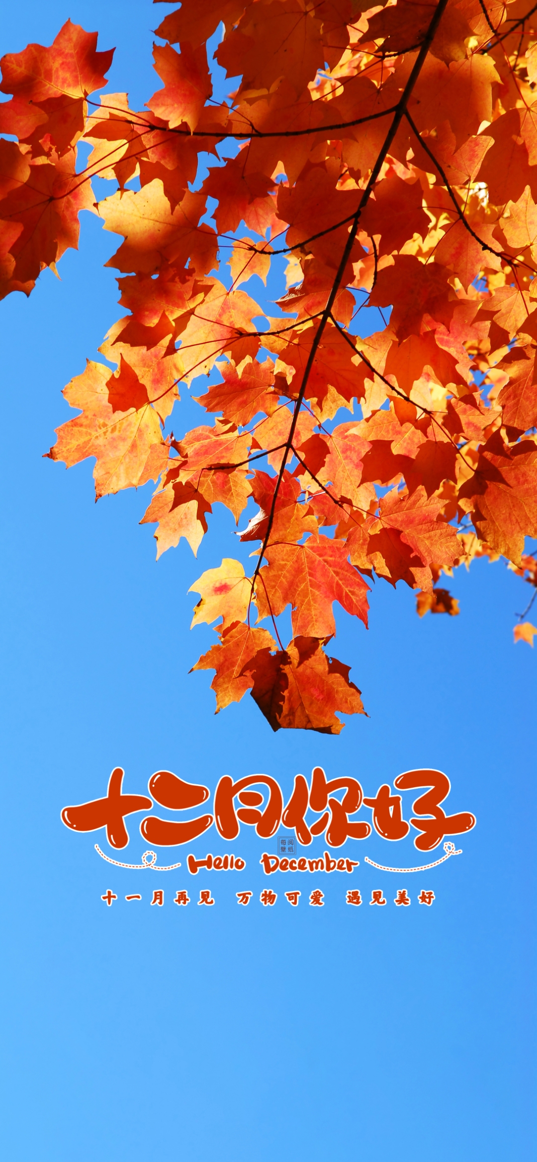 十二月心语:十二月,是冬日的深处,也是温暖的起点