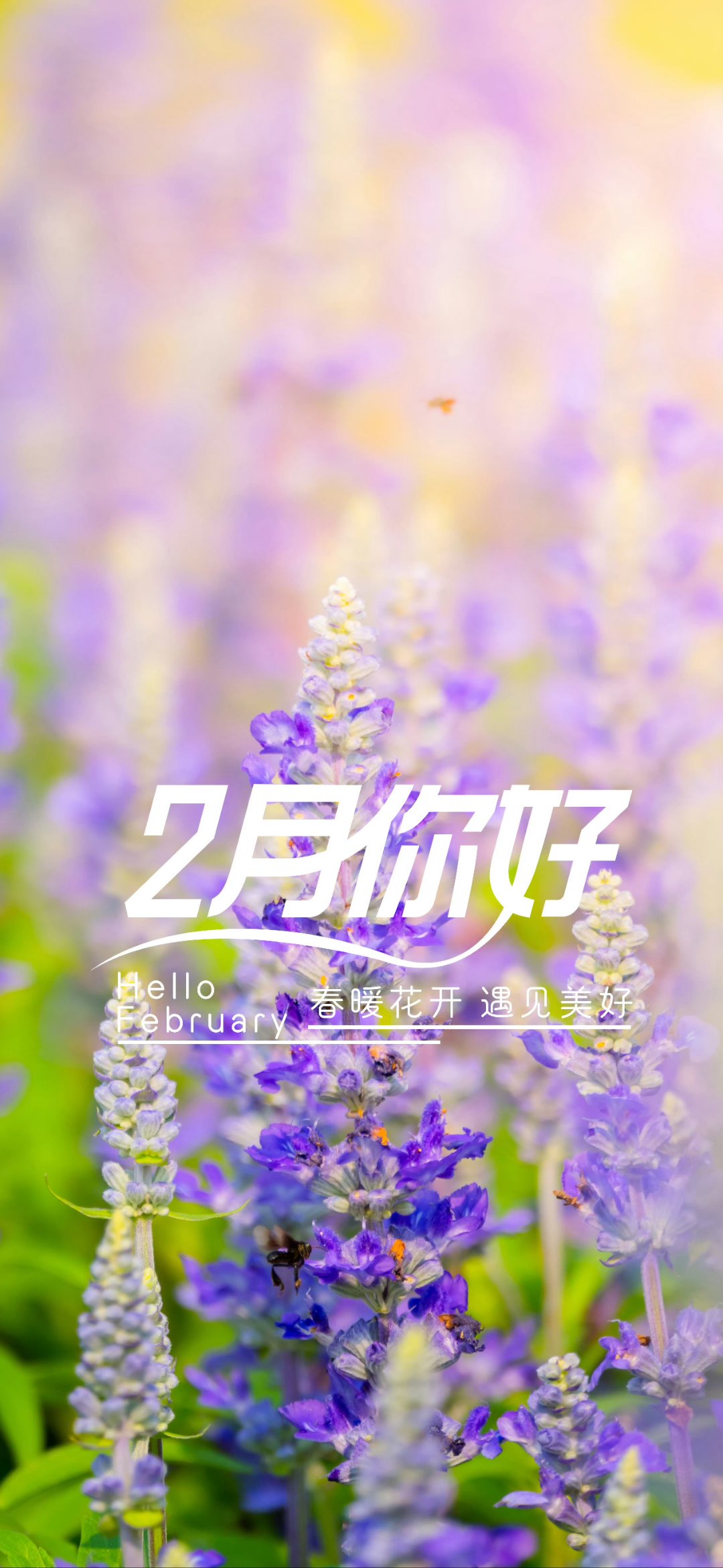 二月心语:二月如同一位温婉的佳人,轻手轻脚地步入我们的生活