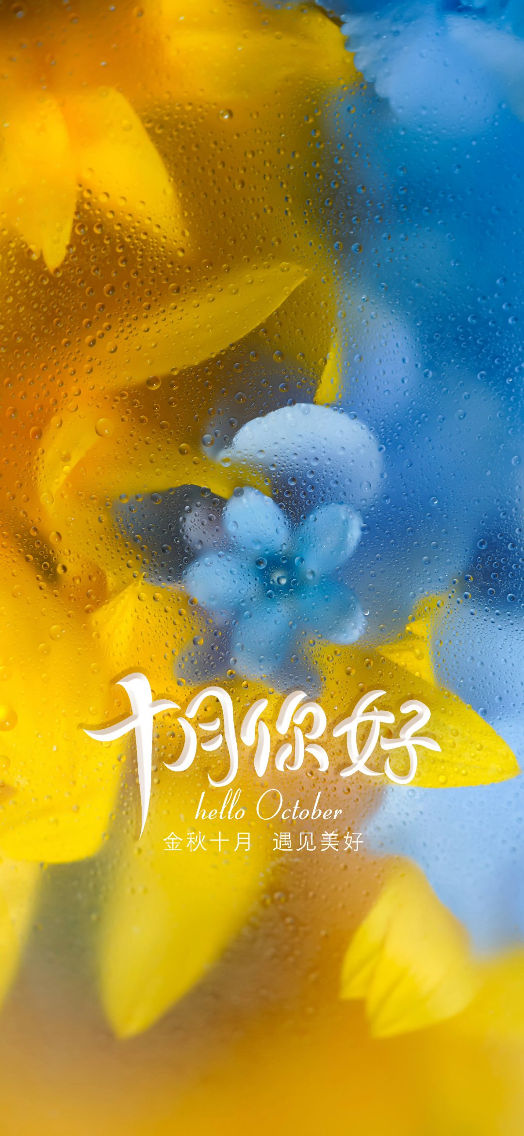 十月心语:金秋十月,天高气爽,万物渐染秋色,而在这斑斓的季节里,最引