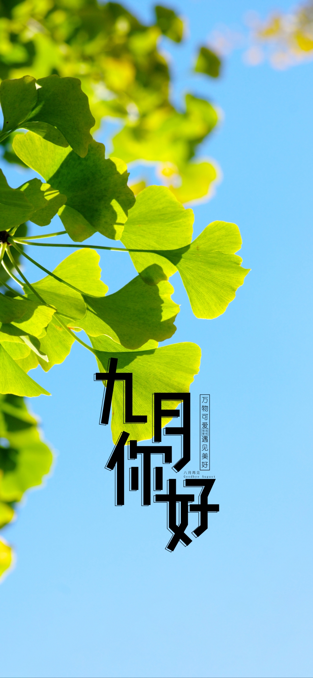 九月心语:九月,我一直在寻找,寻找你印在岁月里的纹痕,我看见,山色