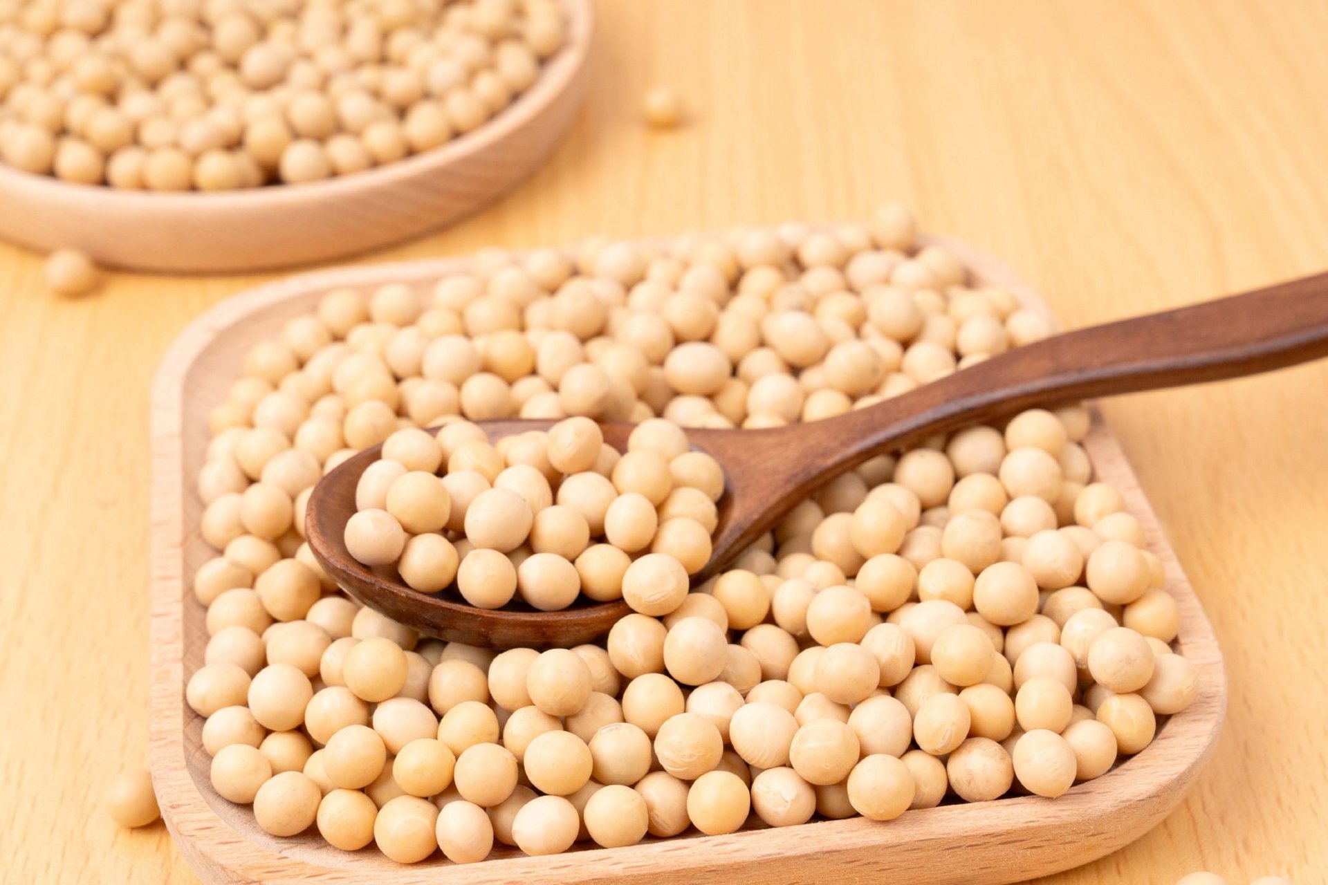 黄豆的成熟季节通常在7~8月.