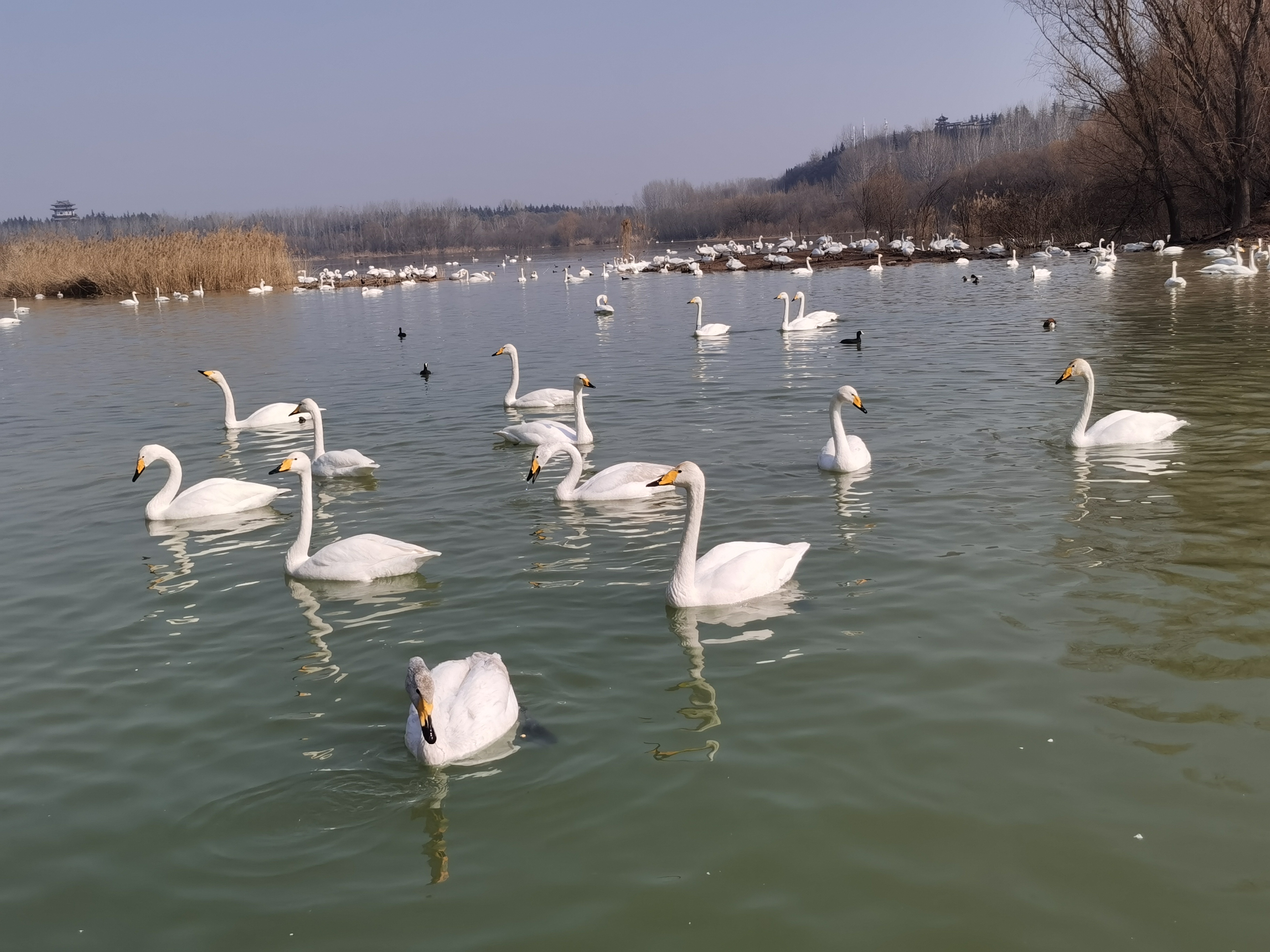 三门峡市湖滨区规划图图片