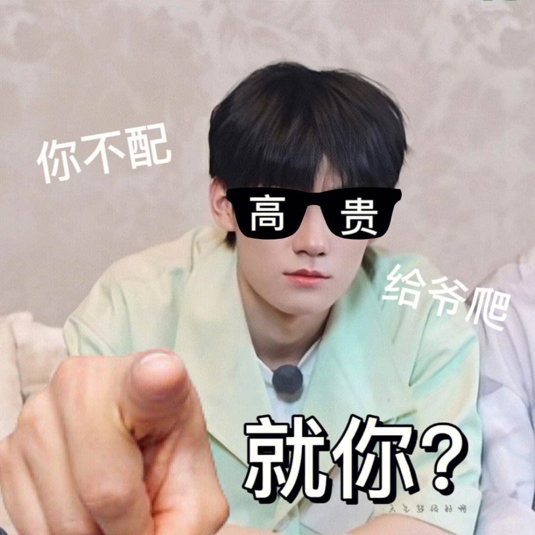 张真源表情包