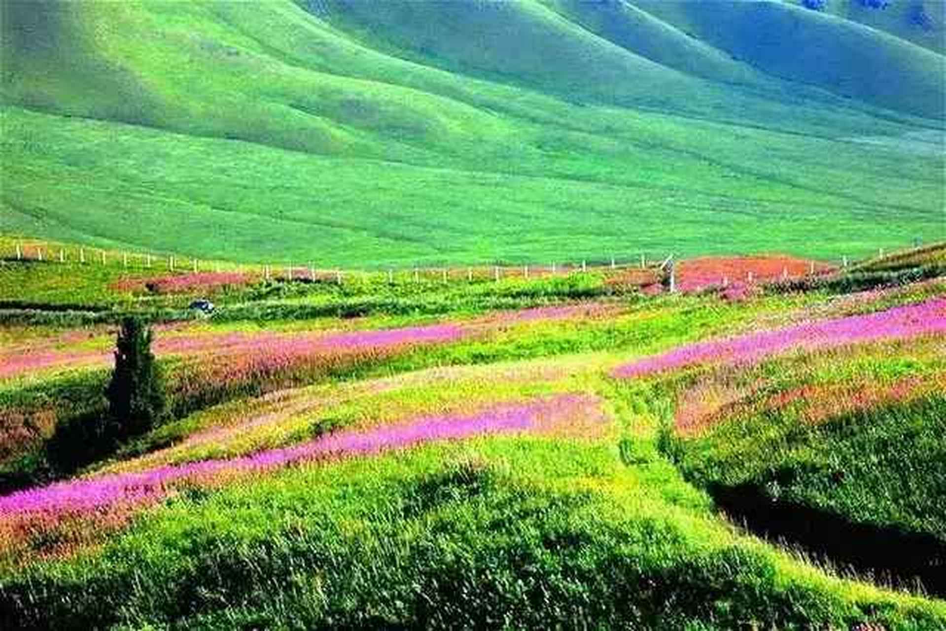 带你去旅行# 夏尔西里!位于中哈边境之上,左望哈萨克斯坦,右赏中国.