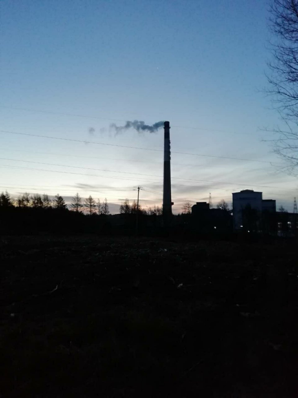 黑龙江省依兰县达连河镇木森林种猪场