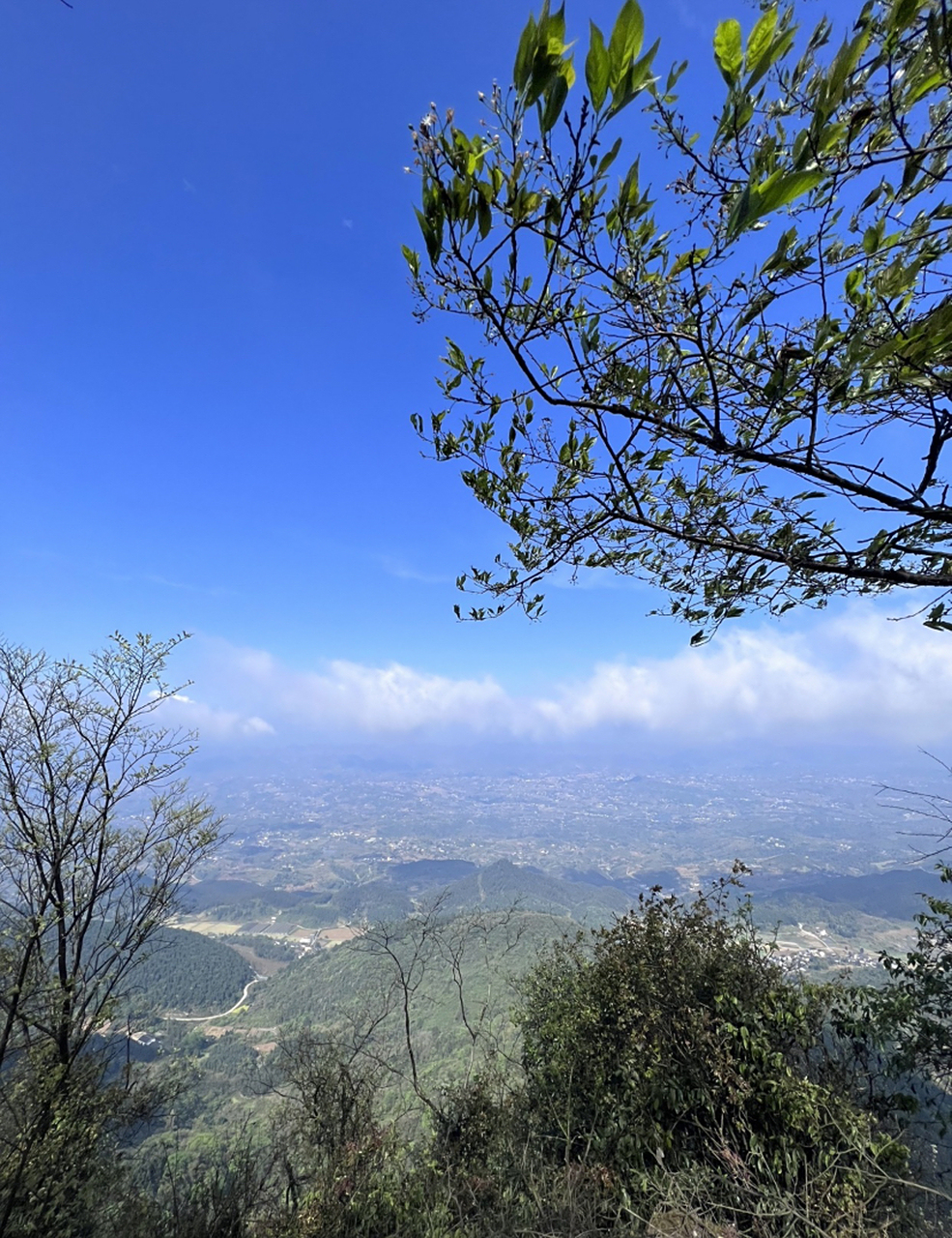 重庆四季好风光# 云龟山景区位于重庆渝北和长寿交界处,因山形状似一