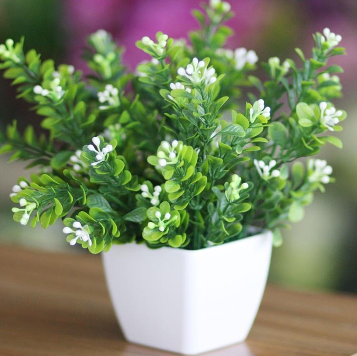 米仔兰2(选自作者原创《百花吟》) 楝科米仔兰 常绿柄翅仙 内藏金米粒