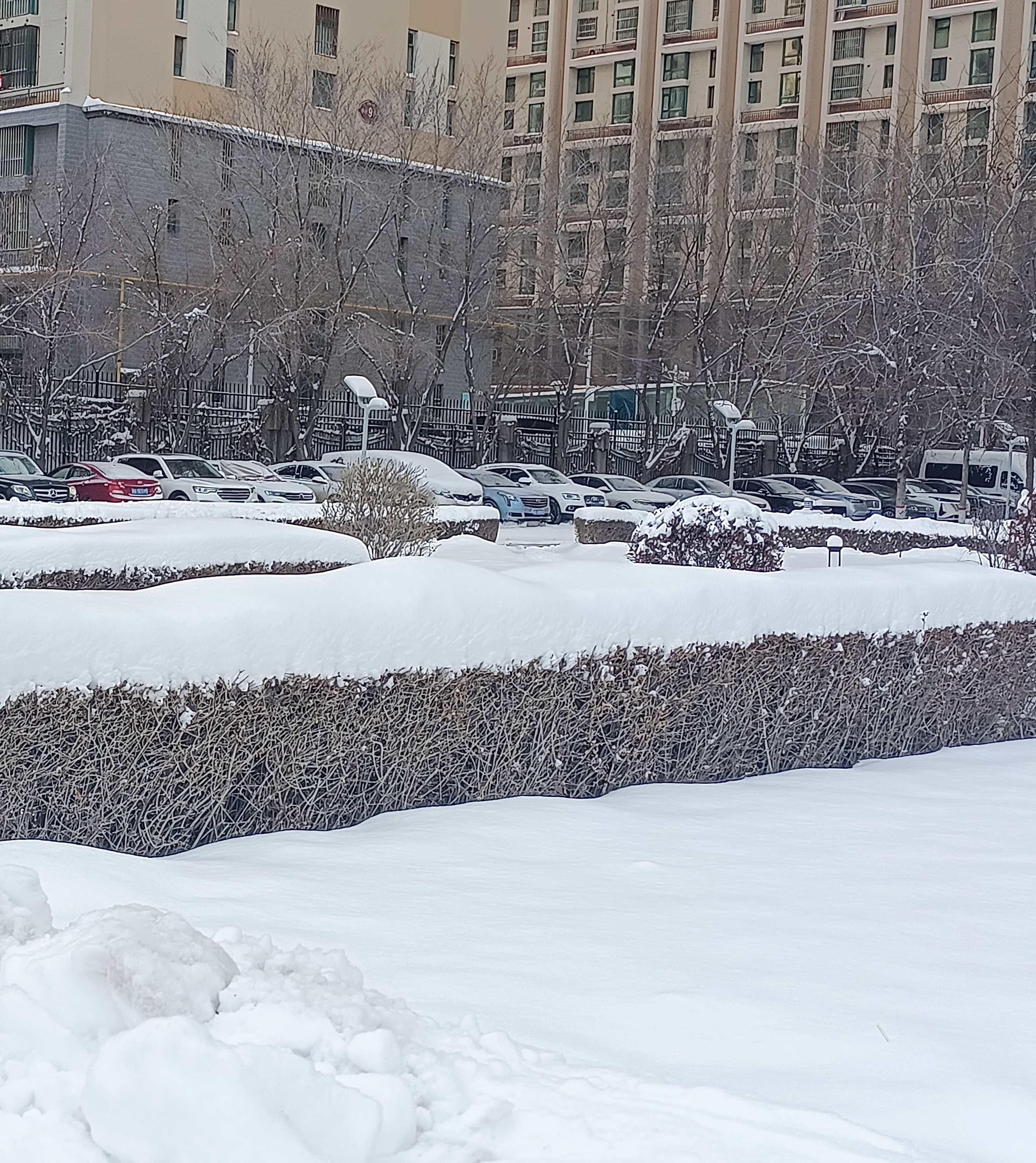 新疆零下27度,下了有30公分的雪,喜欢玩雪的可以到这里来[嘻嘻]