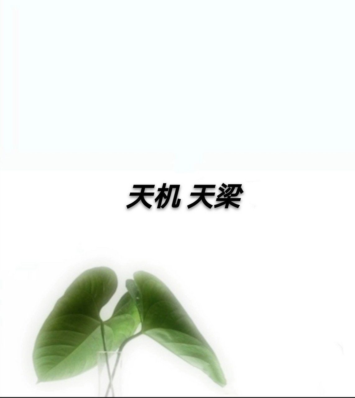 但是天机天梁的组合相对来说缺少行动力,如果能配上七杀入命的搭档,在