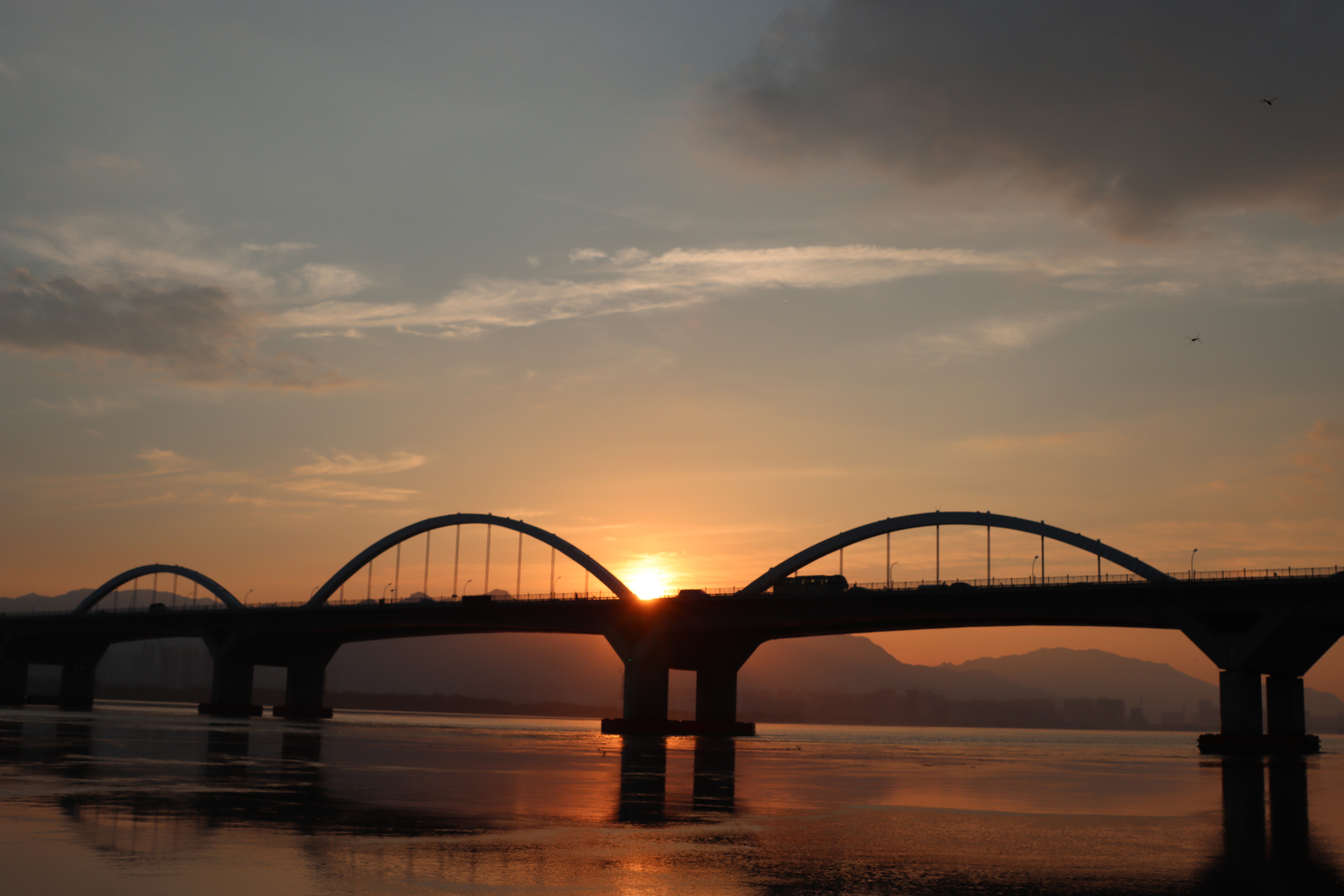 唯美夏日傍晚,时光清浅宁静,处处皆是风景!
