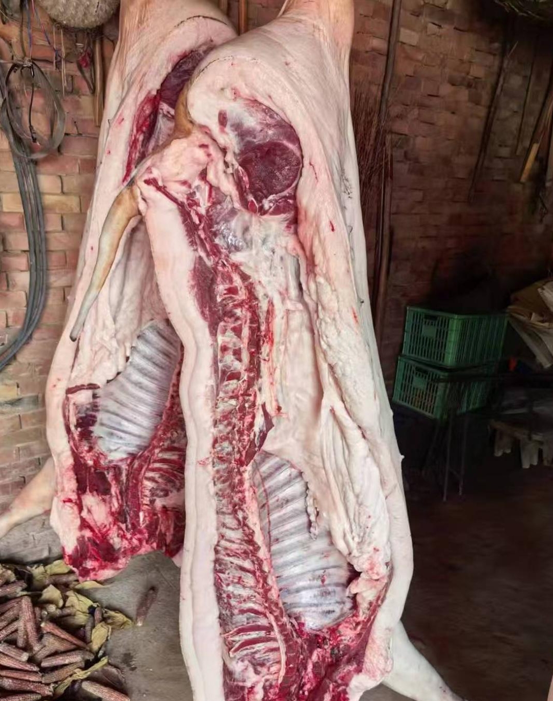 这黑猪肉仅售25元/斤却拥有无与伦比的鲜美物超所值值得你一试