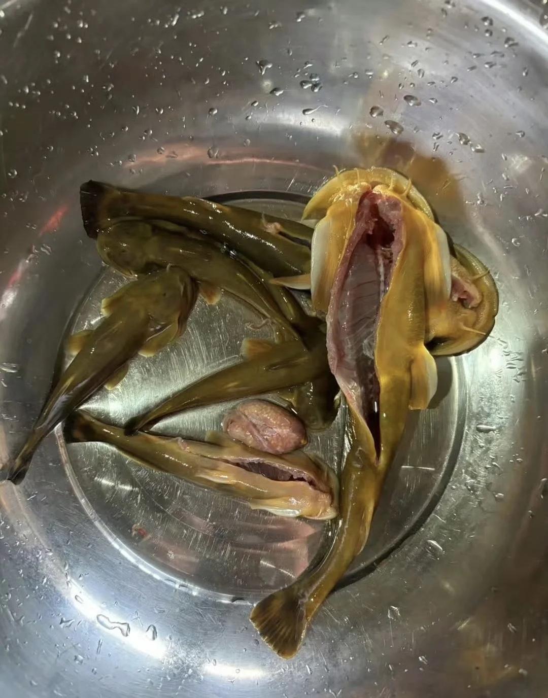 吃过这种野味没?据说是大补!秘制炖煮,山珍之选,滋补更懂你
