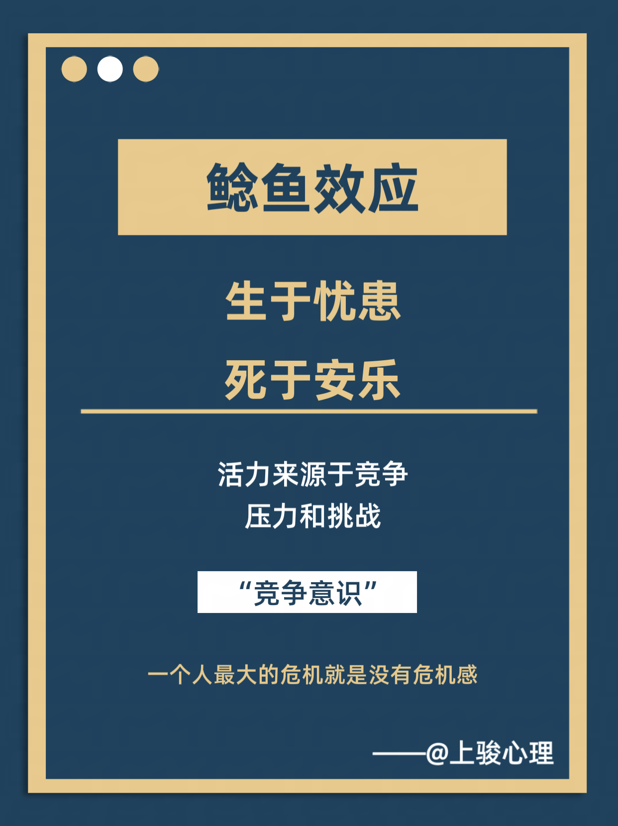 死于安乐 95什么是鲢鱼效应 挪威人爱吃沙丁鱼