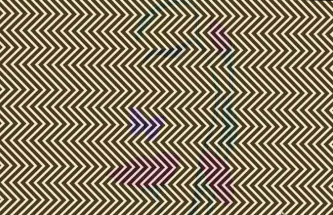 a,一朵花 b,一只蝴蝶 c,人脸  #心理测试# #轻松一刻# #趣味测试