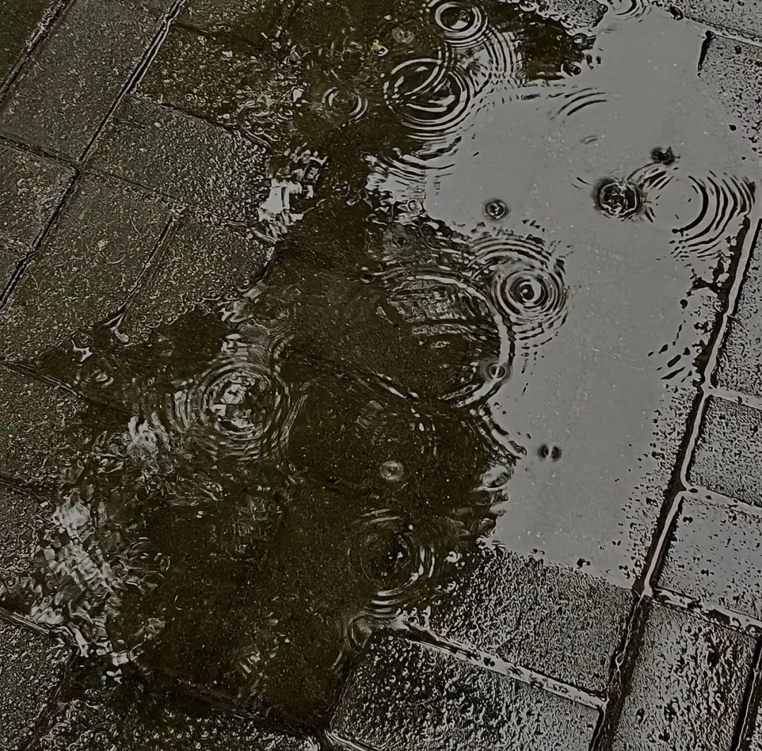 雨中人心理测试图片图片