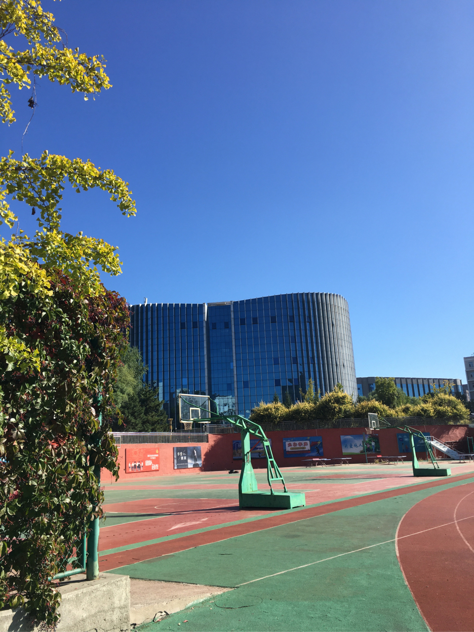 我深深地爱着你,这片深情的土地