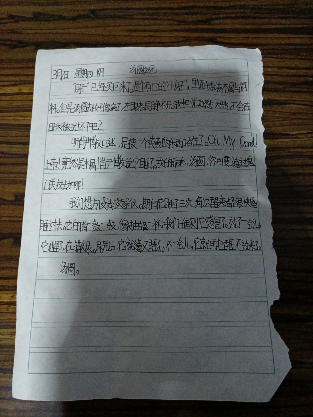仓鼠观察日记作文400字(仓鼠观察日记作文400字四年级)