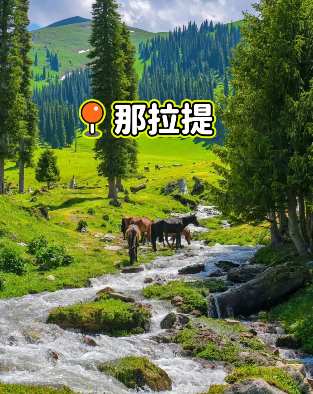 伊犁十大夏季旅游好去处 1,那拉提旅游风景区 夏季平均气温20度左右