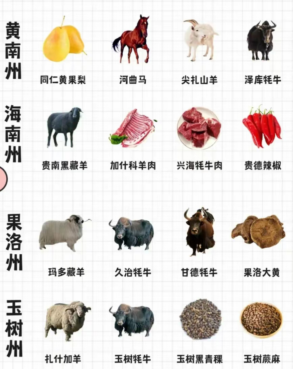 青海省各市的特产大全  1,西宁:青海冬虫夏草,湟中燕麦,大通牦牛肉