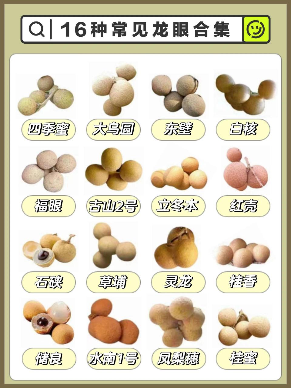 中国十大龙眼品种 第1名——四季蜜 第2名——福眼 第3名——石硖龙眼