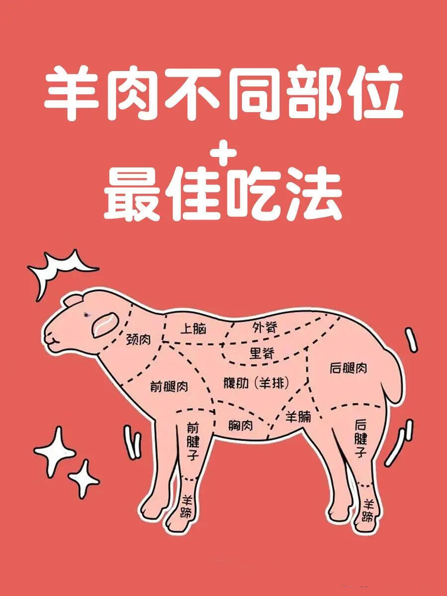 羊肉不同部位和最佳吃法