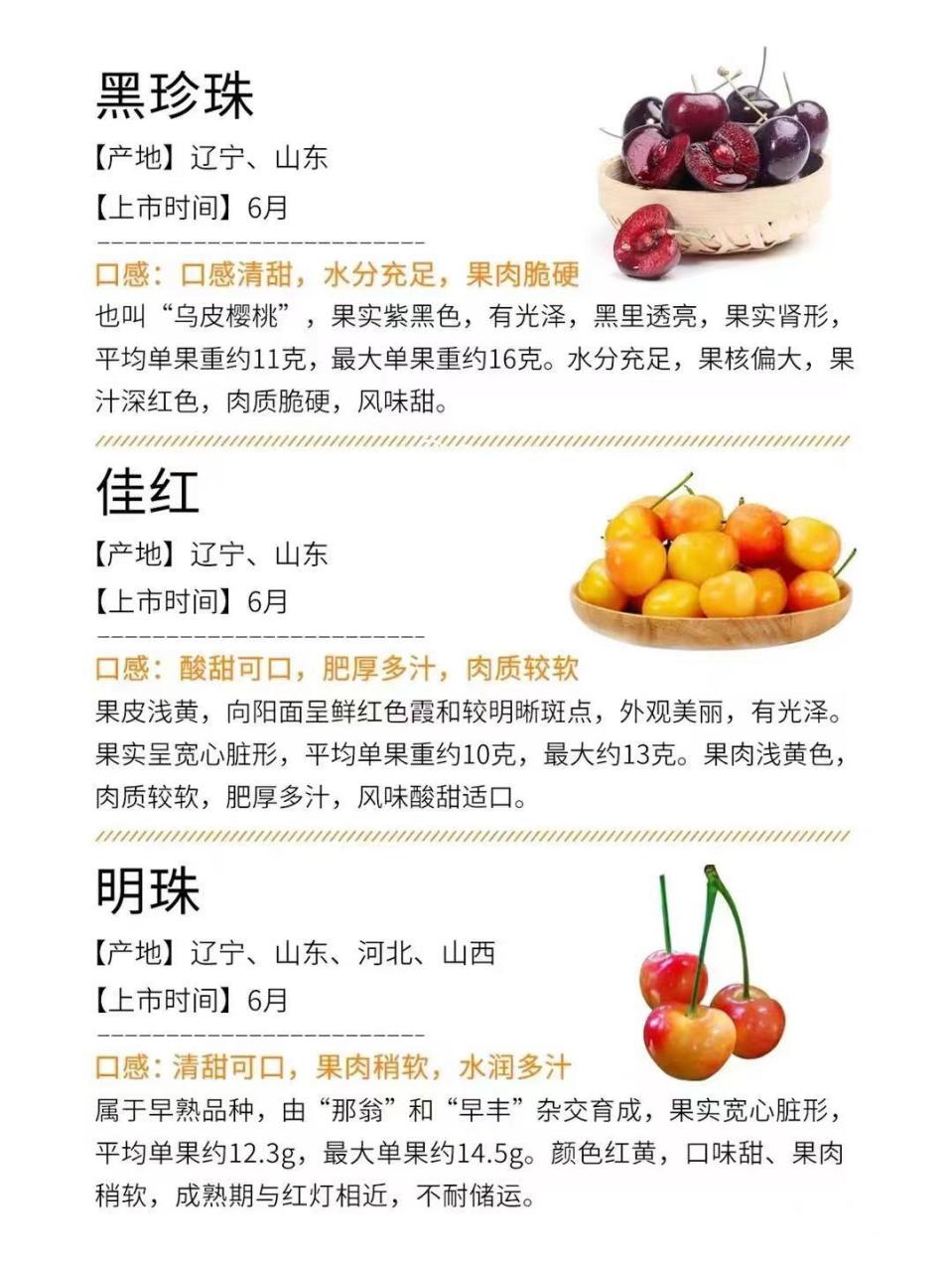 岱红大樱桃品种介绍图片