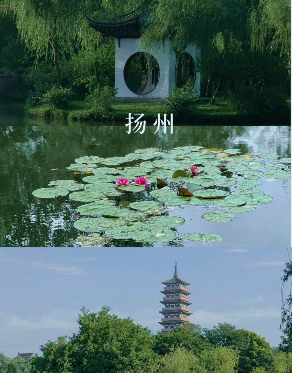 扬州旅游必去的景点攻略  1,中国大运河博物馆 地点:扬州三湾生态公园