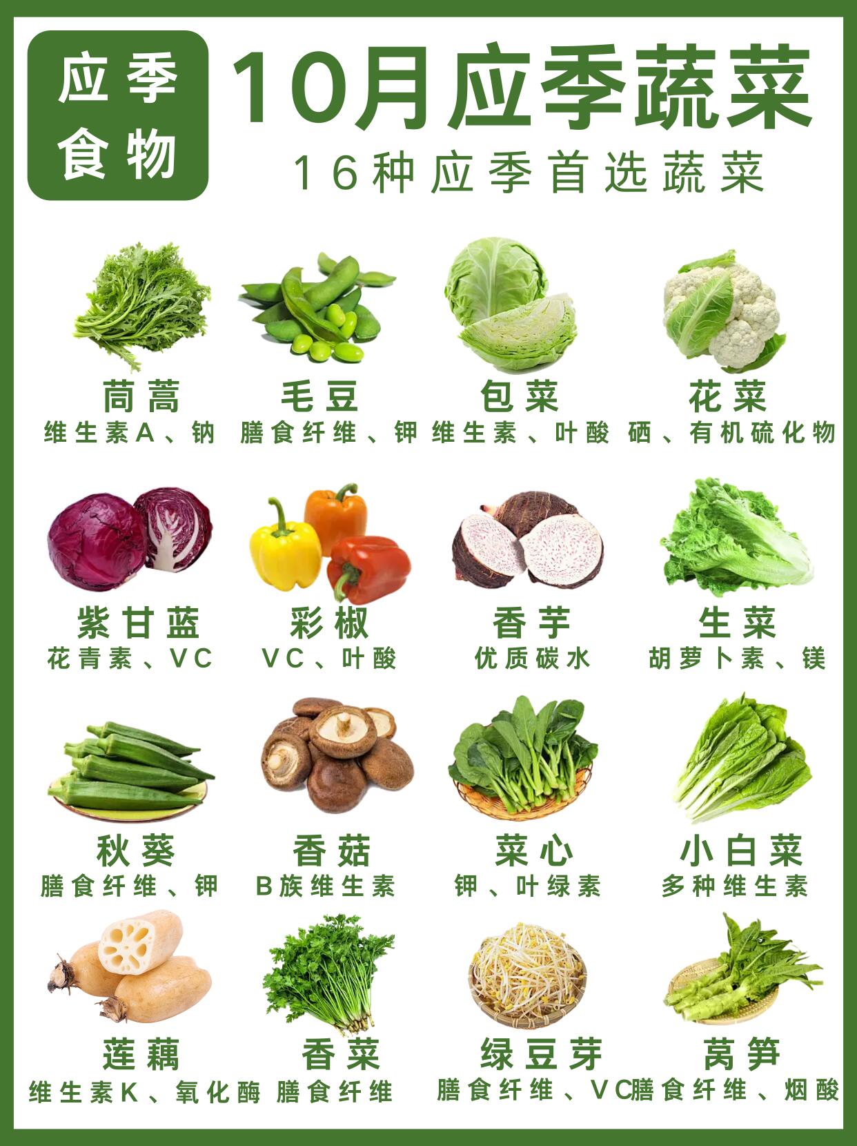 10月份16种应季蔬菜.