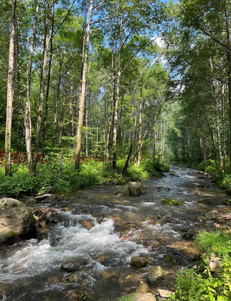 威虎山  99位置:牡丹江市海林市以北  95描述:因小说《林海雪原