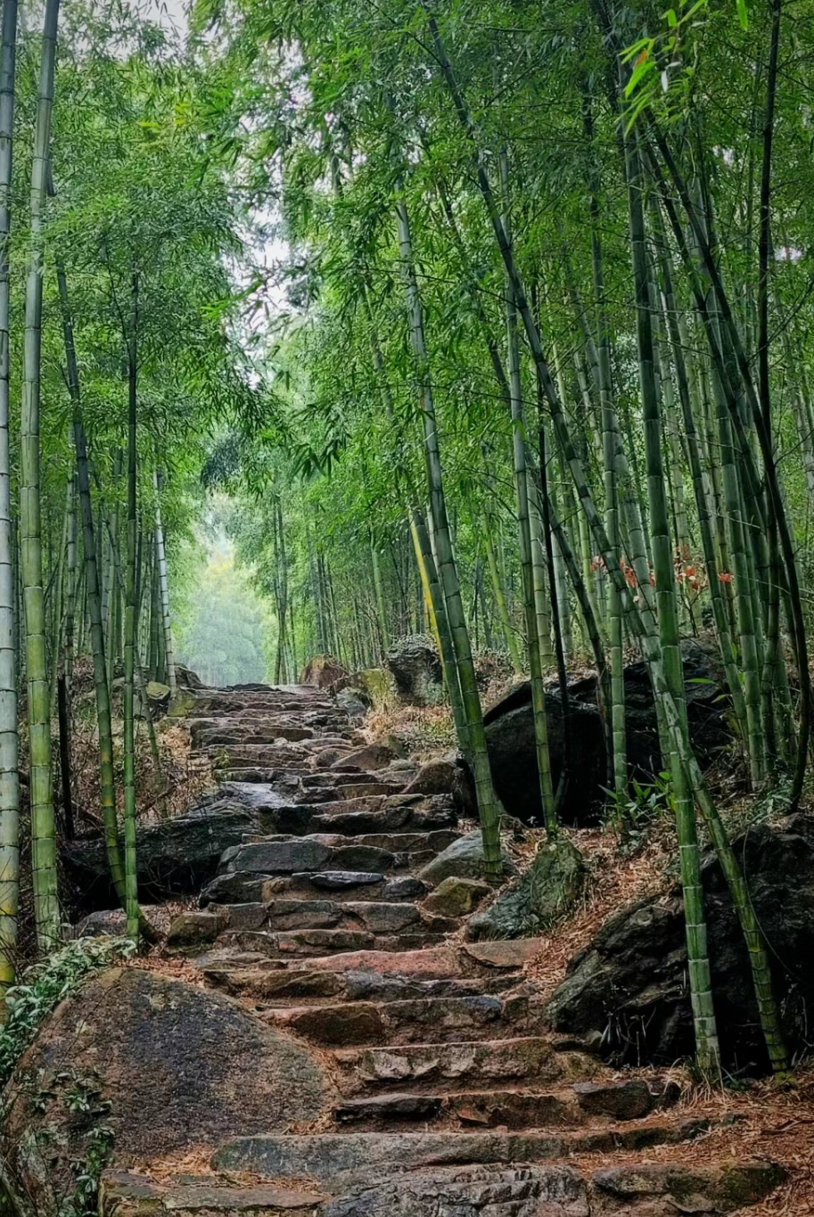 莫干山有哪些景点好玩图片