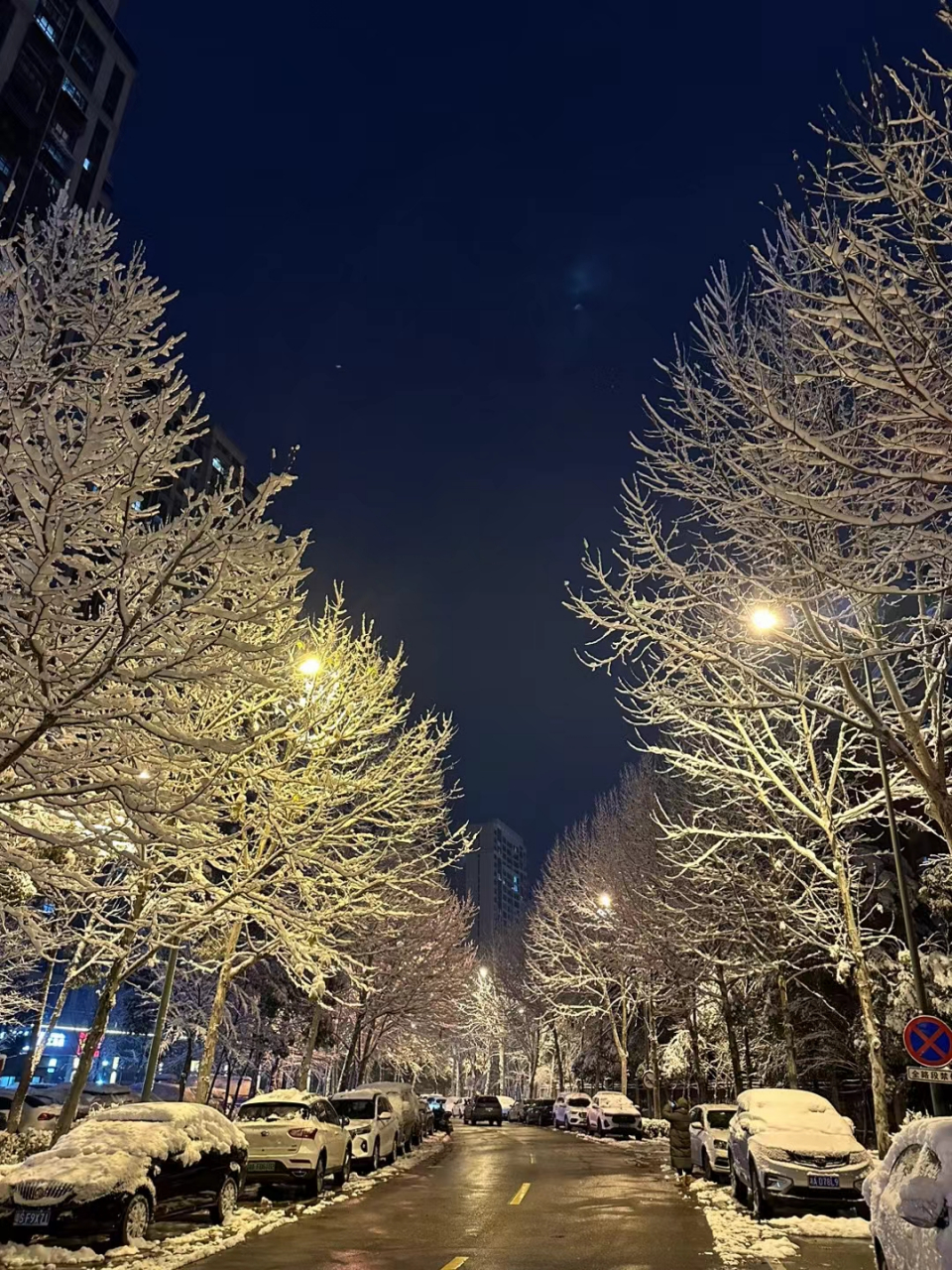 长沙下雪夜景图片