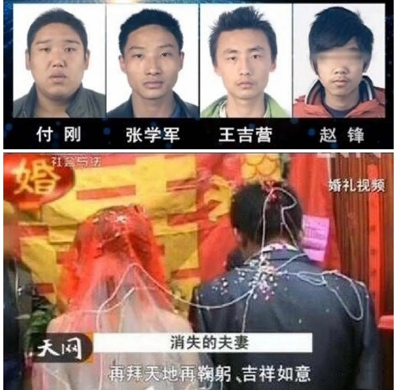 天网2013图片