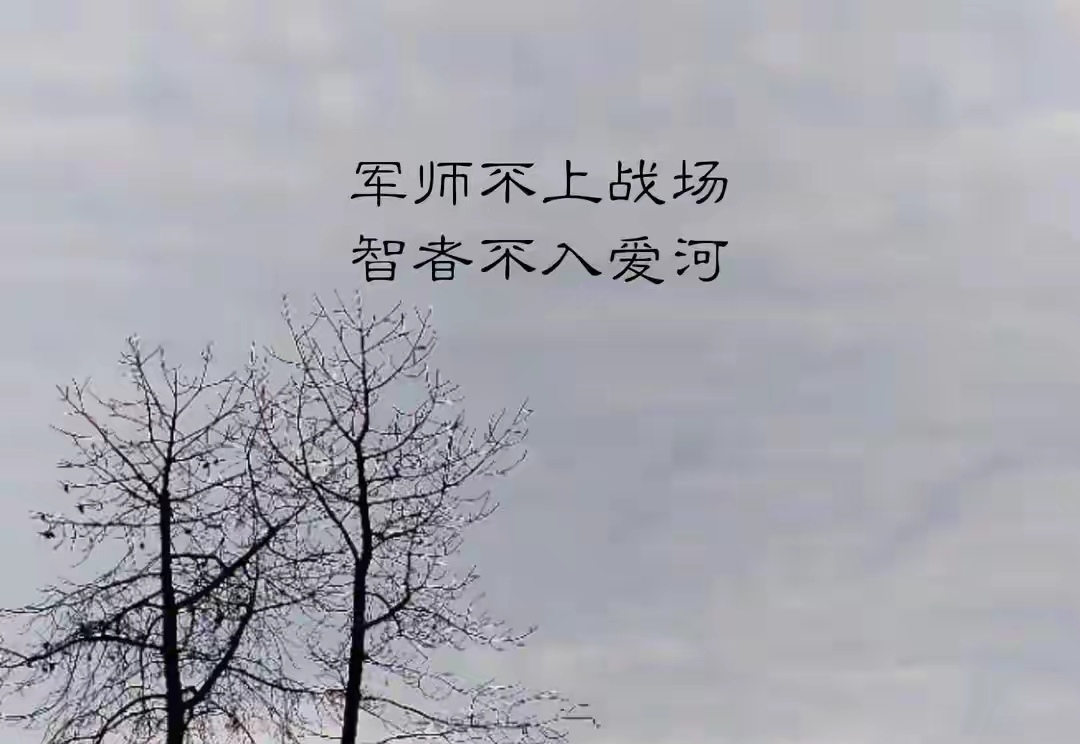 智者不入爱河文字壁纸图片